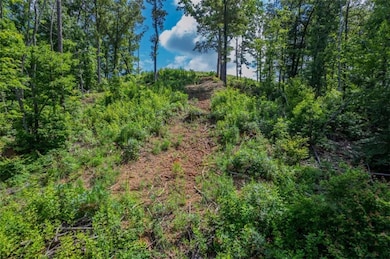 LT 246 Spear Point Dr, Talking Rock, GA 30175 - photo 6