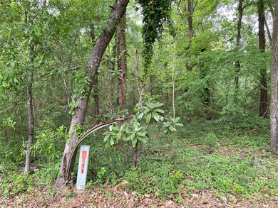 21195 Carter Rd, Splendora, TX 77372 - photo 5