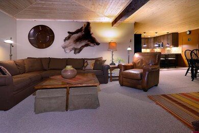 35 Emmons Rd unit 3, Crested Butte, CO 81225 - photo 6