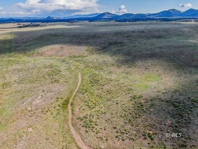 TBD Deer Springs Cir, Westcliffe, CO 81252 - photo 4