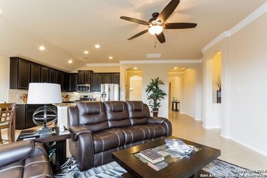26219 Big Bluestem, San Antonio, TX 78261 - photo 6