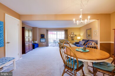 2 Pinecone Ct, Parkville, MD 21234 - photo 7