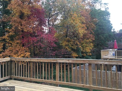 3328 Piney Ridge Ct, Herndon, VA 20171 - photo 2