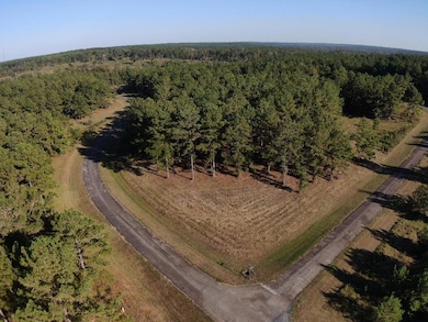 Lot 8 Mountain View Way, Bainbridge, GA 39819 - photo 5