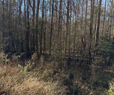 0 Williams Bridge Rd unit 25752991, Toccoa, GA 30577 - photo 5