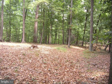 46 ACRES Nettle Ln, Gainesboro, VA 22603 - photo 3
