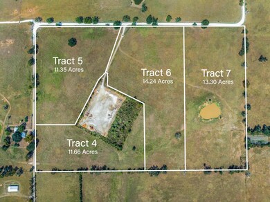 Tract 5 Rolke Ranch Rd, Franklin, TX 77856 - photo 6