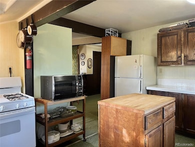 160 S Circle Dr, Bailey, CO 80421 - photo 5