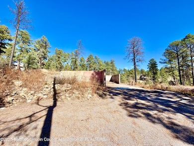 111 Pine Cone Ln, Alto, NM 88312 - photo 5