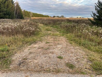 ON Chillie Rd, Antigo, WI 54424 - photo 2