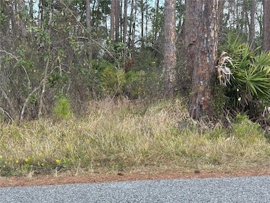 0 5th Ave unit MFRV4940662, Deland, FL 32724 - photo 4