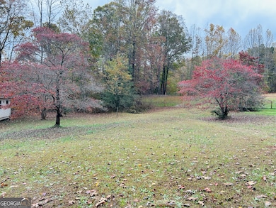 3077 Alec Mountain Rd, Clarkesville, GA 30523 - photo 4