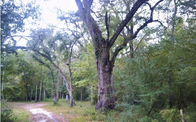 2227 SW Santa fe Dr, Fort White, FL 32038 - photo 3