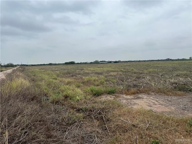 9.5 Mi N Doffing Rd, Mission, TX 78574 - photo 3