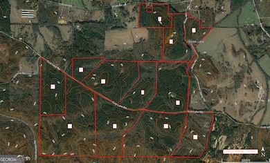 0 Culp Lake Rd unit 1025-K 10390361, Cedartown, GA 30125 - photo 2