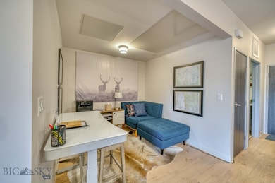 718 W Babcock St unit 411, Bozeman, MT 59715 - photo 5