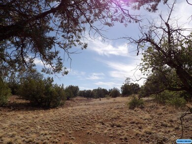 116xx E Highway 180 E unit xx XYZ Rd., Silver City, NM 88061 - photo 3