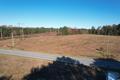 TBD Carroll Rd, Latta, SC 29565 - photo 5