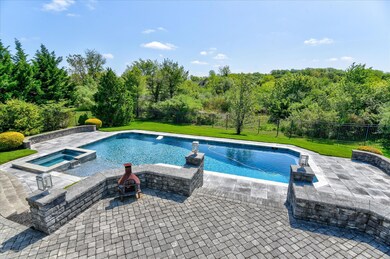 Patio and Pool