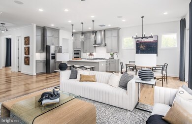 10258 Emerald Ln, Chantilly, VA 20152 - photo 4