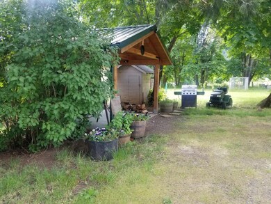 Back patio-yard