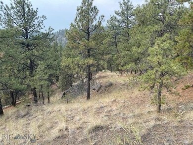 Tbd Mountain Home Ln, Cascade, MT 59421 - photo 5