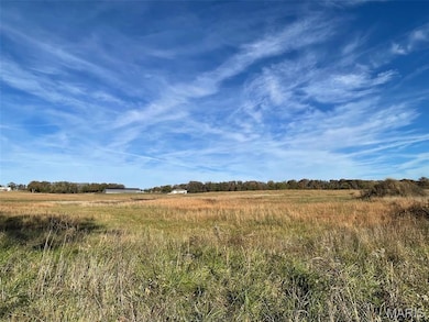 3300 Worley Rd, Farmington, MO 63640 - photo 3