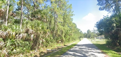 Lot 4 and 5 Bamonte St, North Port, FL 34286 - photo 2