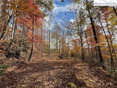 TBD Globe Rd, Lenoir, NC 28645 - photo 3