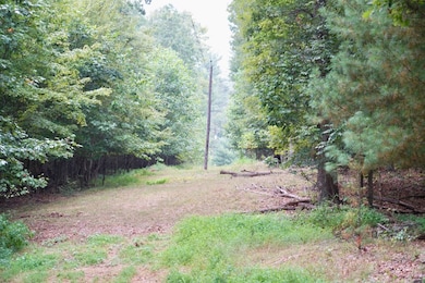 0 Prussia Rd, Waverly, OH 45690 - photo 6