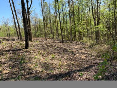 0 Frost Creek Dr, Crossville, TN 38571 - photo 7