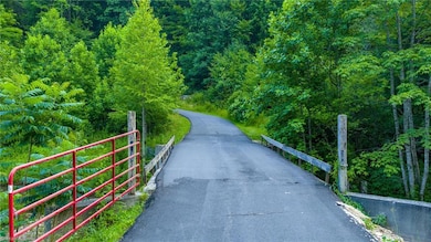 TBD 7 Big Laurel Rd, Creston, NC 28615 - photo 7