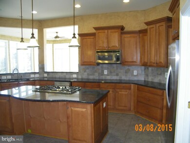 19375 Wrenbury Ln, Leesburg, VA 20175 - photo 5