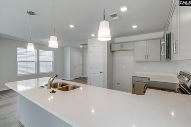 268 Bangalore Way, Gilbert, SC 29054 - photo 5