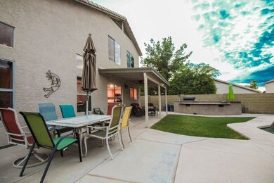 Backyard 1