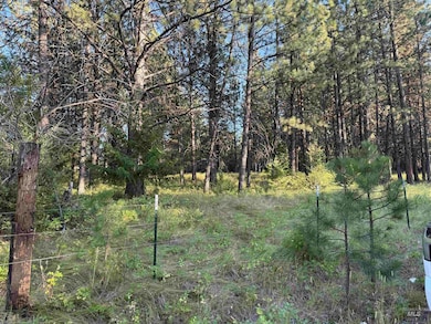 TBD, Asotin, WA 99402 - photo 5