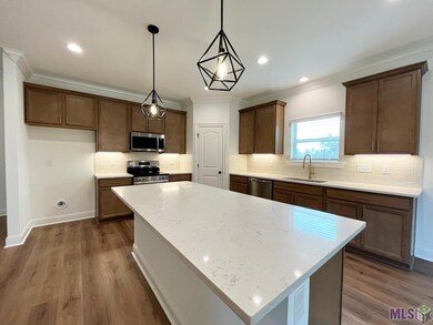 20781 N High Plains Dr, Zachary, LA 70791 - photo 3