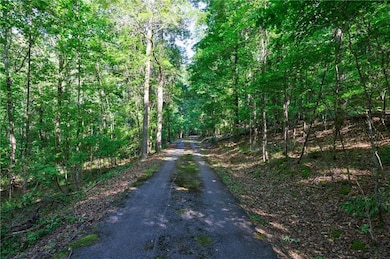 View of road featuring a view of trees