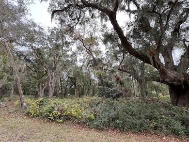 Beautiful homesite with Live Oak trees.