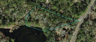 Lot 3 Three Sisters Rd, Crawfordville, FL 32327 - photo 2