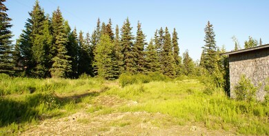DSC05355