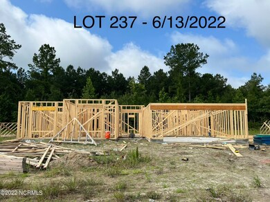 1022 Mackerel Manor, New Bern, NC 28562 - photo 2