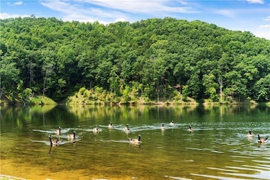 373 Nomad Ct, Ranger, GA 30734 - photo 6