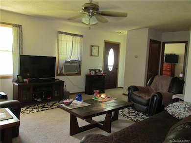 1368 Lickskillet Rd, Burnsville, NC 28714 - photo 3