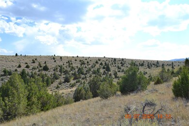 34 Appe Ln, Whitehall, MT 59759 - photo 6