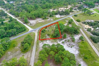 339 Tahiti Ave, Lake Placid, FL 33852 - photo 3