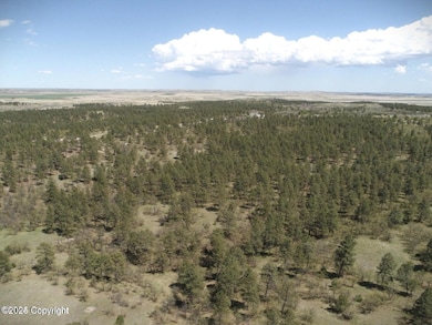 Tract 16 Axe Handle Trail, Hulett, WY 82720 - photo 3