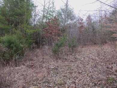 0 Hidden River Lane 50 Ac, Sparta, TN 38583 - photo 4