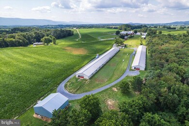 723 Wakemans Grove Rd, Edinburg, VA 22824 - photo 4