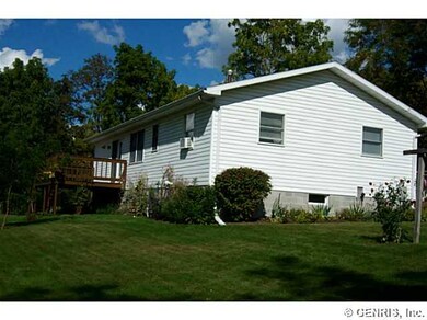Exterior Back